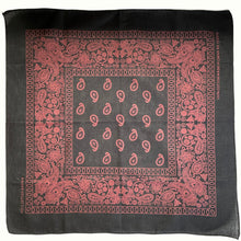 Load image into Gallery viewer, Black &amp; Brown Floral Paisley Bandana