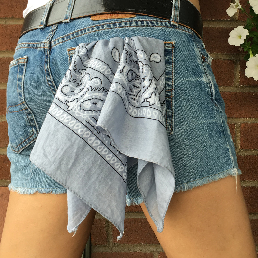 Vintage Wash Gray Paisley Bandana
