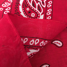 Load image into Gallery viewer, Red Paisley Bandana