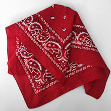 Load image into Gallery viewer, Red Paisley Bandana